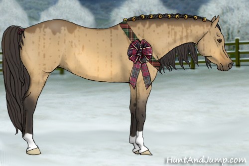 Horse Color:Buckskin Dun 
