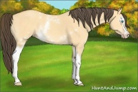 Horse Color:White Spotted Amber Cream Champagne Dun 