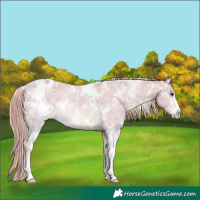 Horse Color:Watercolor White Spotted Red Dun Ice Sabino Varnish Rabicano