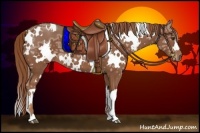 Horse Color:White Spotted Chestnut Ice