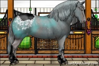 Horse Color:Platinum Chocolate Palomino Sabino Tobiano Snowcap 