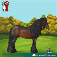 Horse Color:Brown Rabicano 