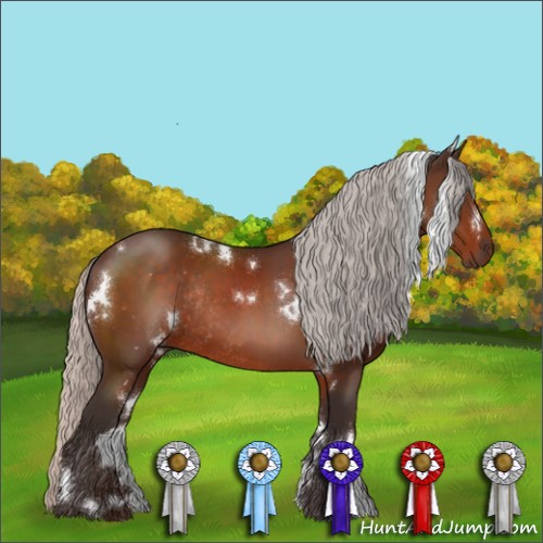 Horse Color:White Spotted Silver Bay Rabicano 