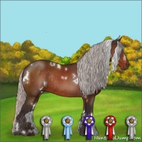 Horse Color:White Spotted Silver Bay Rabicano