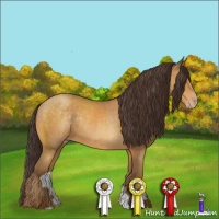 Horse Color:Sable Cream Champagne Rabicano