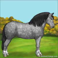 Horse Color:Black Ice 