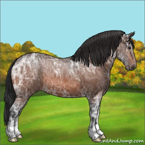 Horse Color:Brown Ice