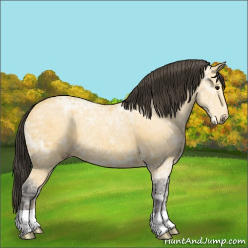Horse Color:Buckskin Ice Rabicano 