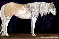 Horse Color:Silver Black Pearl Sabino 