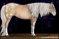 Horse Color:Silver Black Pearl Sabino 