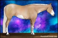 Horse Color:Silver Black Pearl Sabino Rabicano 