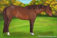 Horse Color:Chocolate Brown 