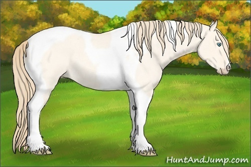 Horse Color:Perlino Roan Dun Tobiano 