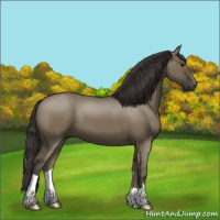 Horse Color:Smoky Grullo