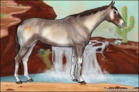 Horse Color:Red Onyx Roan 