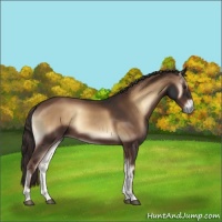 Horse Color:Liver Red Onyx 