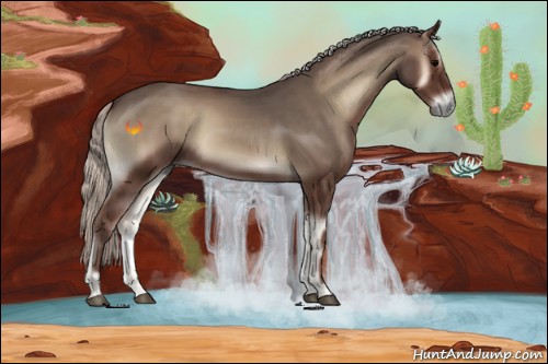 Horse Color:Silver Blue Onyx 