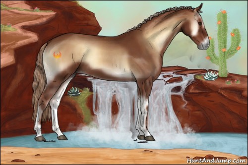 Horse Color:Red Onyx 