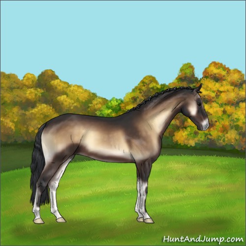Horse Color:Brown Onyx