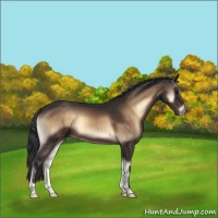 Horse Color:Brown Onyx 