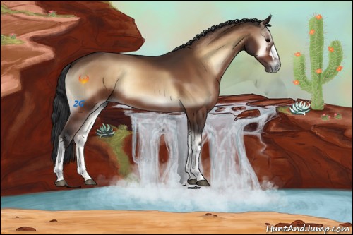 Horse Color:Bay Onyx