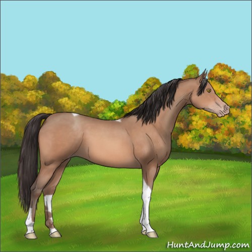 Horse Color:Sable Champagne Tobiano 