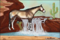 Horse Color:Bay Onyx 