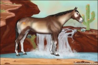 Horse Color:Bay Onyx 