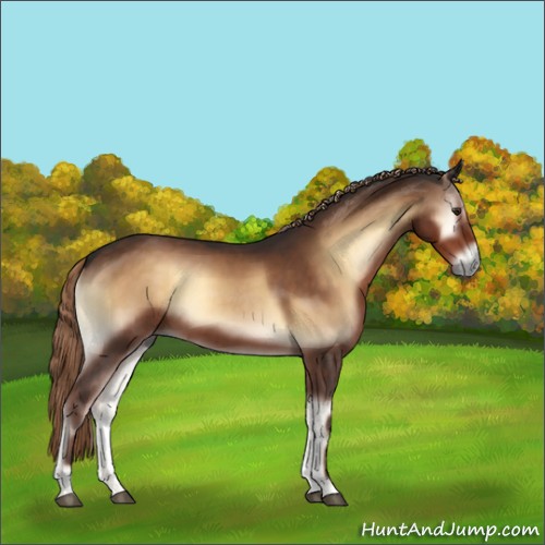 Horse Color:Liver Red Onyx 