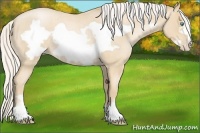 Horse Color:Silver Smoky Blue Roan Pearl Frame