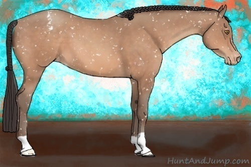 Horse Color:Sable Champagne Snowflake Varnish
