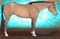 Horse Color:Sable Champagne Snowflake Varnish 