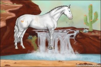 Horse Color:Cremello Sabino Splash 