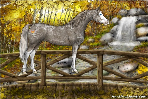 Horse Color:Chocolate Palomino Ice Splash