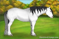 Horse Color:Amber Champagne Chinchilla Onyx Splash Brindle