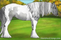 Horse Color:Black Tobiano 