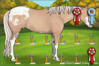 Horse Color:Silver Classic Champagne Sabino Snowcap 