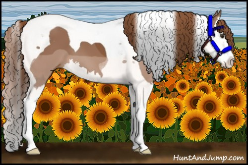 Horse Color:Chestnut Sabino Splash Tobiano 
