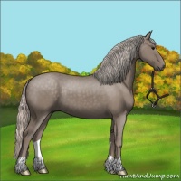 Horse Color:Silver Grullo 