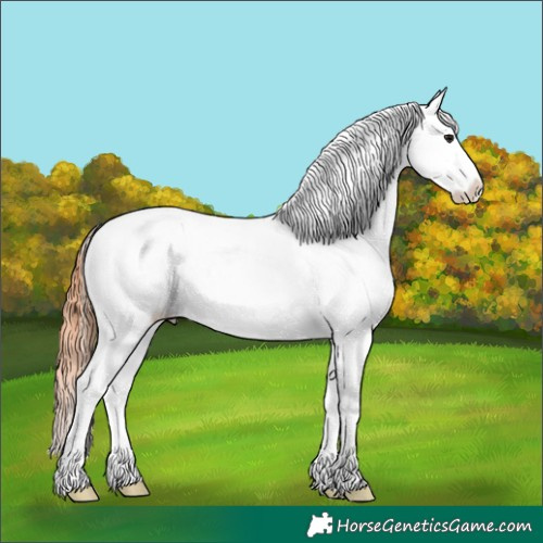 Horse Color:Brown Dun Blanket 