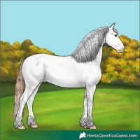 Horse Color:Brown Dun Blanket 
