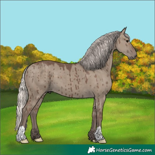 Horse Color:Silver Grullo Brindle