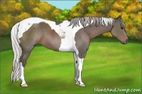 Horse Color:Silver Black Tobiano