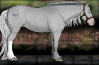 Horse Color:Silver Classic Champagne Chinchilla Dun 