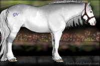 Horse Color:Silver Brown Chinchilla Splash 