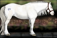 Horse Color:White Spotted Smoky Black Chinchilla Pearl 