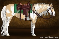 Horse Color:White Spotted Silver Buckskin Splash Frame 