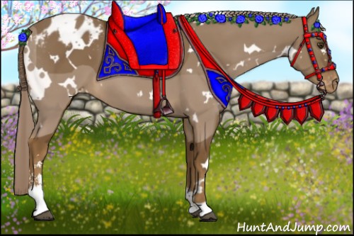 Horse Color:White Spotted Chocolate Palomino Sabino Appaloosa 