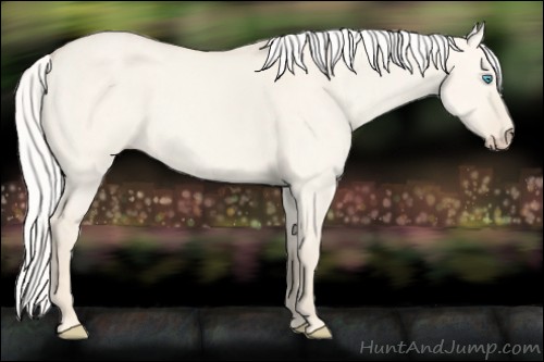 Horse Color:Silver Smoky Creme Dun