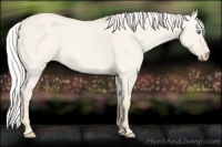 Horse Color:Silver Smoky Creme Dun 